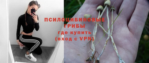 твердый Кулебаки