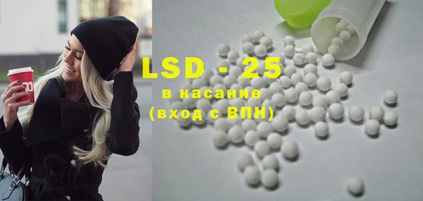 винт Лагань