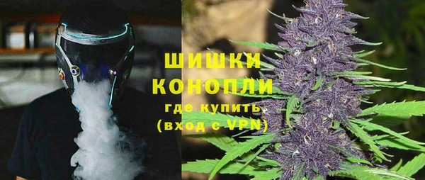 винт Лагань