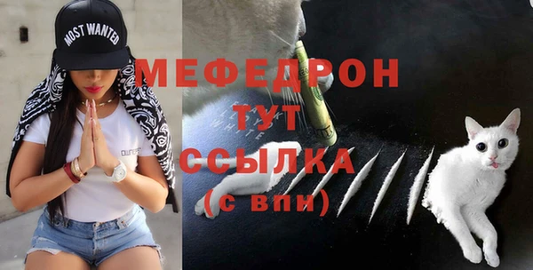 винт Лагань