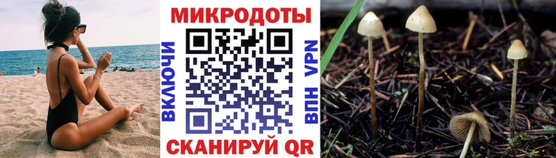 hydra как войти Ессентукская Галлюциногенные грибы ЛСД