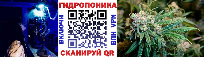 Канабис Ganja  Ессентукская 